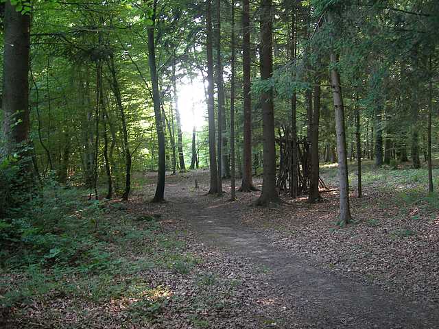 Primizie estive nel Jura francese